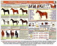 Комплект плакатов "Служебное коневодство" - fgospostavki.ru - Выкса