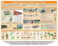 Комплект плакатов "Кинология" - fgospostavki.ru - Выкса
