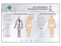 Электрифицированный стенд "Остановка кровотечения" - fgospostavki.ru - Выкса