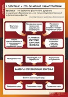 Комплект таблиц. ОБЖ. Здоровый образ жизни. - fgospostavki.ru - Выкса