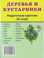 Раздаточные карточки "Деревья и кустарники" - fgospostavki.ru - Выкса