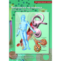 Интерактивные плакаты. Биология человека. Программно-методический комплекс - fgospostavki.ru - Выкса