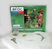 Гербарий "Основные группы растений" (52 листа) - fgospostavki.ru - Выкса
