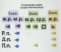 Набор магнитных карточек "Склонение имен существительных" - fgospostavki.ru - Выкса