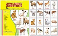 Демонстрационные карточки "Домашние животные" - fgospostavki.ru - Выкса