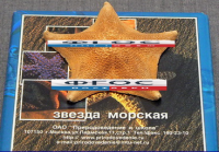 Сухой препарат "Звезда морская" - fgospostavki.ru - Выкса