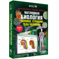 Наглядная биология. 8 - 9 классы. Человек. Строение тела человека - fgospostavki.ru - Выкса
