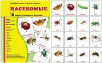 Демонстрационные карточки "Насекомые" - fgospostavki.ru - Выкса