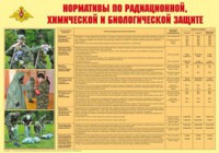 Плакат "Нормативы по радиационной, химической и биологической защите" - fgospostavki.ru - Выкса