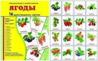 Демонстрационные карточки "Ягоды" - fgospostavki.ru - Выкса