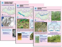 Комплект таблиц по географии "Природные зоны России" раздаточные (цветные, ламинированные, А4, 10 штук) - fgospostavki.ru - Выкса