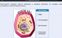 Интерактивные курсы. Биология 8 класс. Базовый - fgospostavki.ru - Выкса