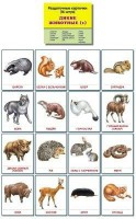 Раздаточные карточки "Дикие животные (1)" - fgospostavki.ru - Выкса