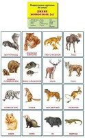 Раздаточные карточки "Дикие животные (2)" - fgospostavki.ru - Выкса