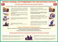 Таблица "Порядок действий при внезапной смерти" (100х140 сантиметров, винил) - fgospostavki.ru - Выкса