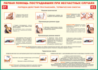 Таблица "Порядок действий при ранениях и термических ожогах" (100х140 сантиметров, винил) - fgospostavki.ru - Выкса