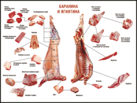 Таблица "Правила разделки мясных туш. Баранина и ягнятина" (100х140 сантиметров, винил) - fgospostavki.ru - Выкса