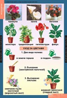 Комплект таблиц. Окружающий мир 1 класс. - fgospostavki.ru - Выкса