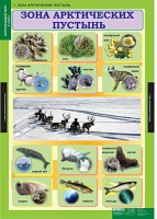 Комплект таблиц. Окружающий мир 4 класс. - fgospostavki.ru - Выкса