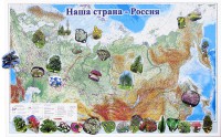 Магнитные карточки "Растения" - fgospostavki.ru - Выкса