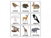 Набор магнитных карточек по музыке "Животные" (9 штук) - fgospostavki.ru - Выкса