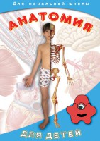 DVD "Анатомия для детей" - fgospostavki.ru - Выкса