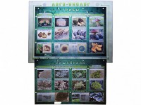Комбинированный модульный комплекс "Лого-биолог" - fgospostavki.ru - Выкса