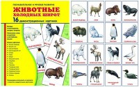 Демонстрационные карточки "Животные холодных широт" - fgospostavki.ru - Выкса