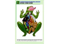 Рельефная таблица "Внутреннее строение лягушки" (формат А1, матовое ламинирование) - fgospostavki.ru - Выкса