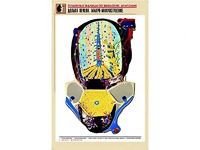 Рельефная таблица "Долька печени. Макро-микростроение" (формат А1, матовое ламинирование) - fgospostavki.ru - Выкса
