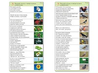 Комплект карточек (10) "Обучающий калейдоскоп. Природа" - fgospostavki.ru - Выкса