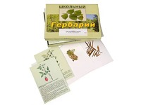 Гербарий "Для начальной школы" (30 видов, с иллюстрациями) - fgospostavki.ru - Выкса