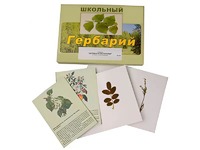 Гербарий "Деревья и кустарники" (22 вида, с иллюстрациями) - fgospostavki.ru - Выкса