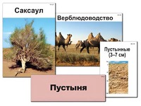 Модель-аппликация "Природные зоны России" (ламинированная) - fgospostavki.ru - Выкса