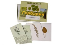 Гербарий "Лекарственные растения" (22 вида с иллюстрациями) - fgospostavki.ru - Выкса