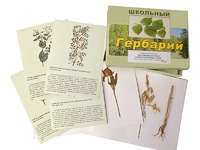 Гербарий "Систематика растений. Семейство Бобовые. Злаки" (раздаточный) - fgospostavki.ru - Выкса