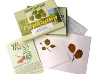 Гербарий "Систематика растений. Семейство Розоцветные" (раздаточный) - fgospostavki.ru - Выкса