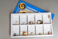 Коллекция "Раковины моллюсков" - fgospostavki.ru - Выкса