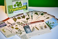 Гербарий к курсу основ общей биологии - fgospostavki.ru - Выкса