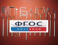 Постановочные зонды (медицинская сталь). Комплект из 12 зондов - fgospostavki.ru - Выкса