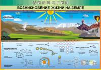 Таблица "Возникновение жизни на земле" (100х140 сантиметров, винил) - fgospostavki.ru - Выкса