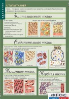 Комплект таблиц. Биология 8-9 класс. Человек. - fgospostavki.ru - Выкса