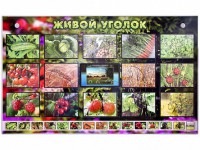 Комплект оборудования "Живой уголок" (растения) с тифлопереводом и сурдокомментариями - fgospostavki.ru - Выкса