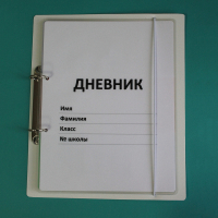Дневник школьника (с полным набором карточек) - fgospostavki.ru - Выкса