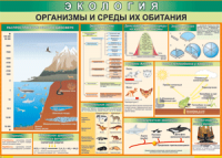 Таблица "Организмы и среды их обитания" (100х140 сантиметров, винил) - fgospostavki.ru - Выкса