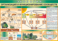 Таблица "Организация и функционирование сообществ" (100х140 сантиметров, винил) - fgospostavki.ru - Выкса
