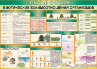 Таблица "Биотические взаимоотношения организмов" (100х140 сантиметров, винил) - fgospostavki.ru - Выкса