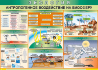Таблица "Антропогенное воздействие на биосферу" (100х140 сантиметров, винил) - fgospostavki.ru - Выкса