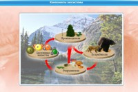 Интерактивные курсы. Биология 7 класс. Базовый. - fgospostavki.ru - Выкса