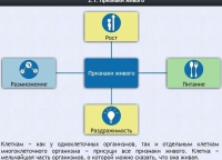 Интерактивные курсы. Биология 5 класс. Базовый - fgospostavki.ru - Выкса